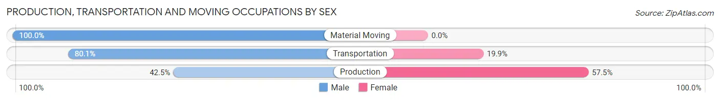 Production, Transportation and Moving Occupations by Sex in Zip Code 70130