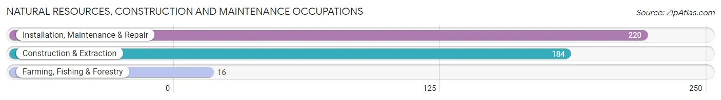 Natural Resources, Construction and Maintenance Occupations in Zip Code 70339