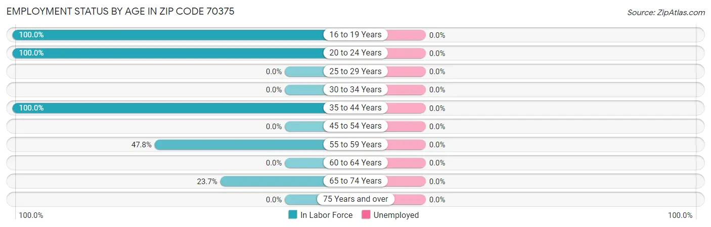 Employment Status by Age in Zip Code 70375