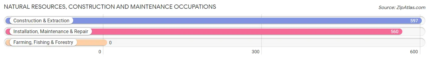 Natural Resources, Construction and Maintenance Occupations in Zip Code 70435