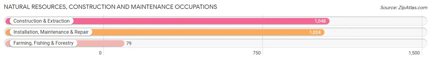 Natural Resources, Construction and Maintenance Occupations in Zip Code 70458