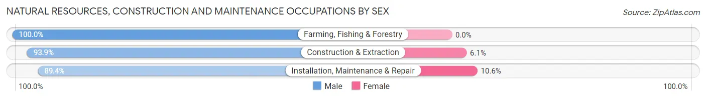 Natural Resources, Construction and Maintenance Occupations by Sex in Zip Code 70538