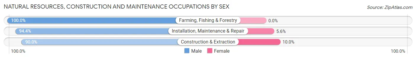 Natural Resources, Construction and Maintenance Occupations by Sex in Zip Code 70570