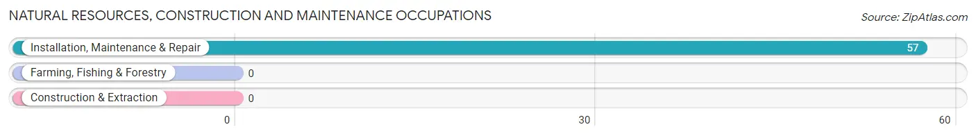 Natural Resources, Construction and Maintenance Occupations in Zip Code 70650