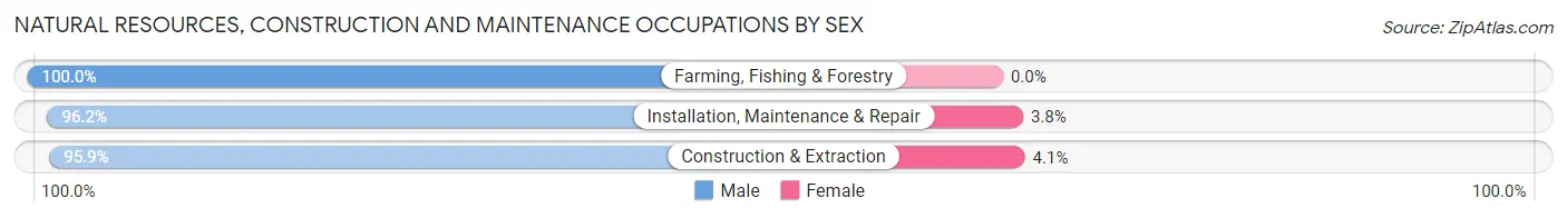 Natural Resources, Construction and Maintenance Occupations by Sex in Zip Code 70706