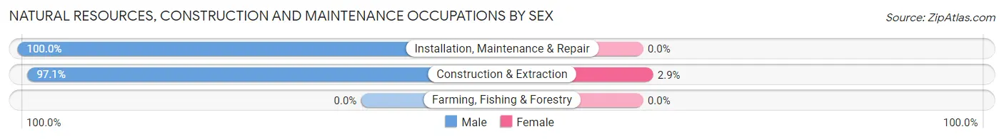 Natural Resources, Construction and Maintenance Occupations by Sex in Zip Code 70767