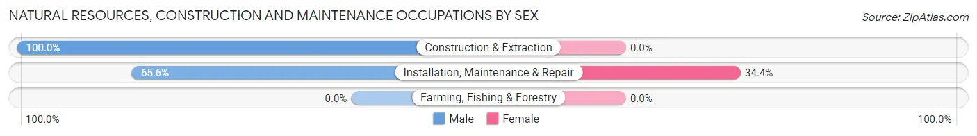 Natural Resources, Construction and Maintenance Occupations by Sex in Zip Code 70778