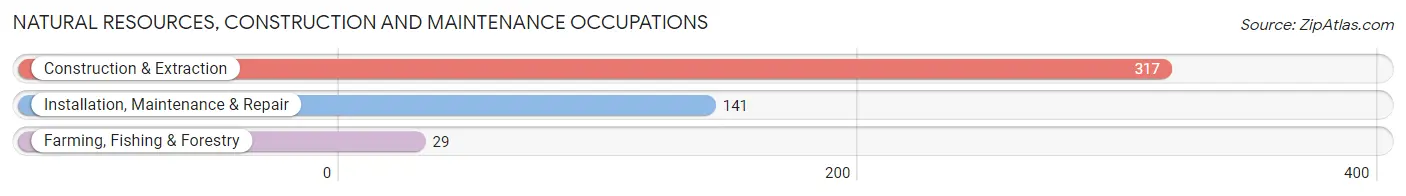 Natural Resources, Construction and Maintenance Occupations in Zip Code 70808