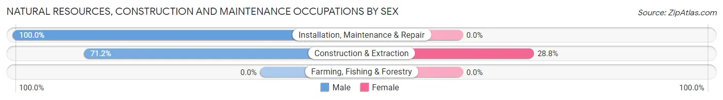 Natural Resources, Construction and Maintenance Occupations by Sex in Zip Code 70818