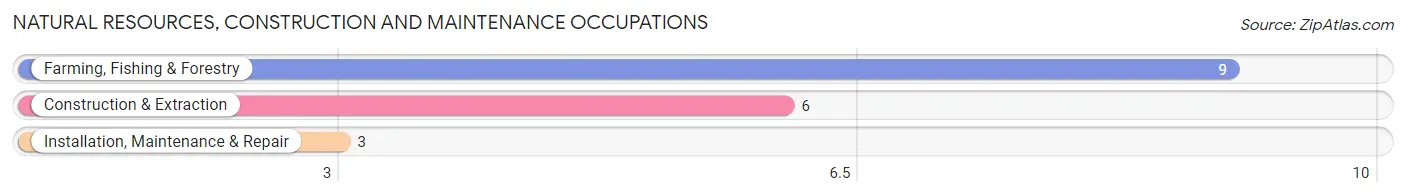 Natural Resources, Construction and Maintenance Occupations in Zip Code 71029