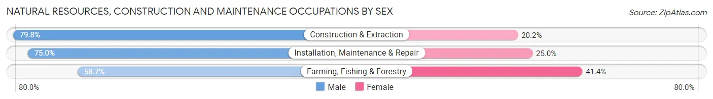 Natural Resources, Construction and Maintenance Occupations by Sex in Zip Code 71040