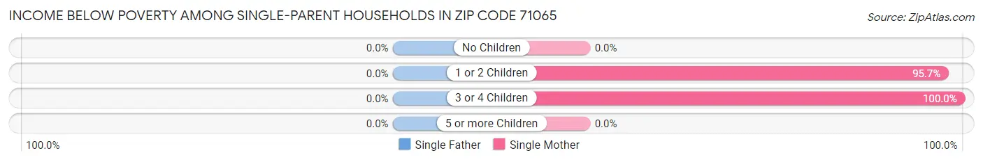 Income Below Poverty Among Single-Parent Households in Zip Code 71065