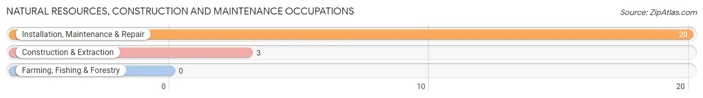 Natural Resources, Construction and Maintenance Occupations in Zip Code 71065