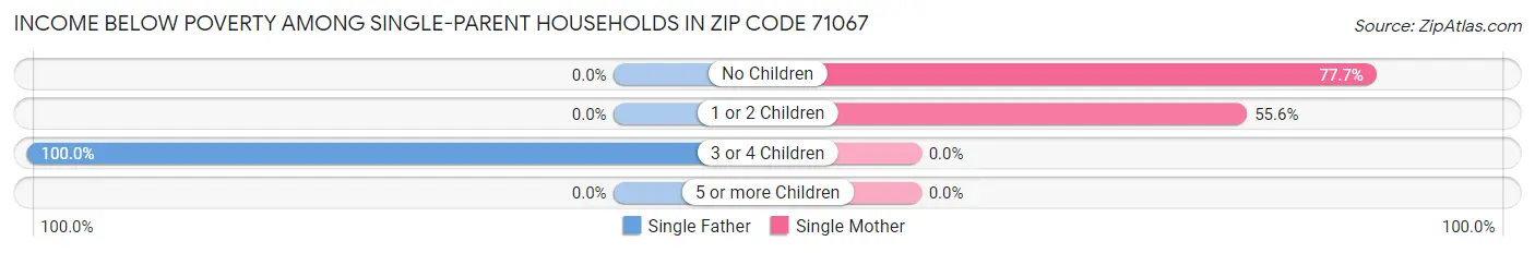 Income Below Poverty Among Single-Parent Households in Zip Code 71067
