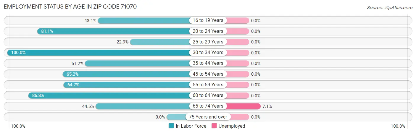 Employment Status by Age in Zip Code 71070