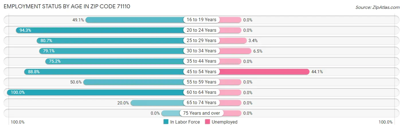 Employment Status by Age in Zip Code 71110
