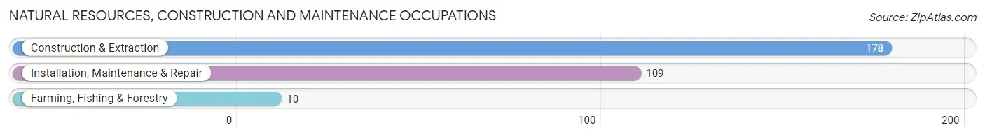 Natural Resources, Construction and Maintenance Occupations in Zip Code 71235