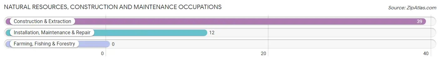 Natural Resources, Construction and Maintenance Occupations in Zip Code 71356