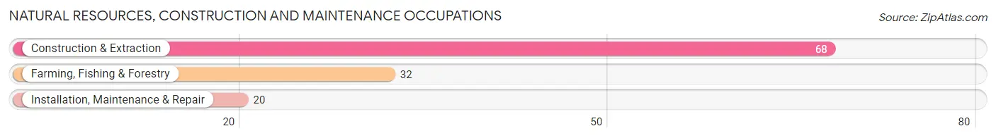 Natural Resources, Construction and Maintenance Occupations in Zip Code 71419