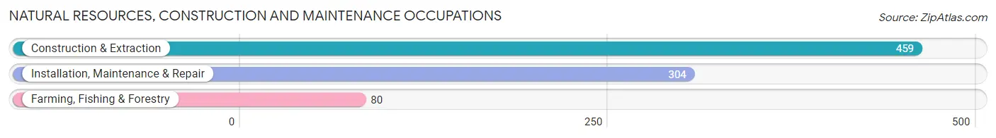 Natural Resources, Construction and Maintenance Occupations in Zip Code 71457