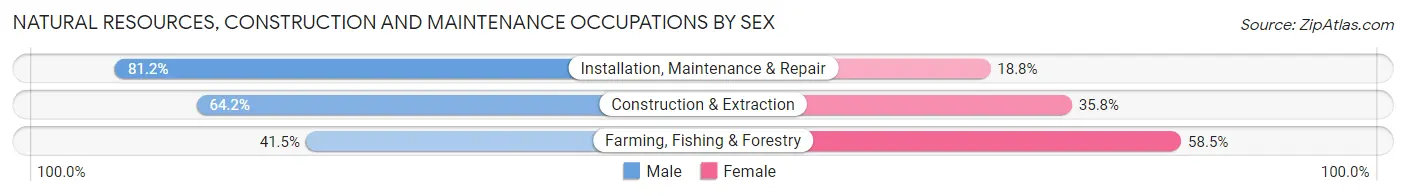 Natural Resources, Construction and Maintenance Occupations by Sex in Zip Code 71601