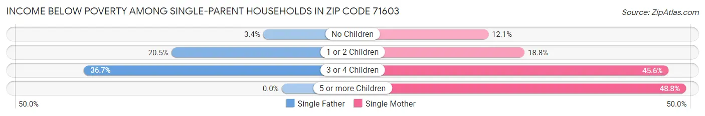 Income Below Poverty Among Single-Parent Households in Zip Code 71603