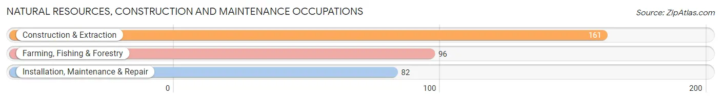 Natural Resources, Construction and Maintenance Occupations in Zip Code 71639