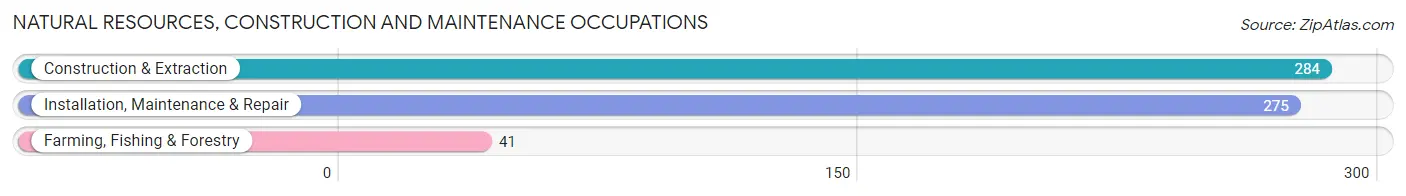 Natural Resources, Construction and Maintenance Occupations in Zip Code 71753