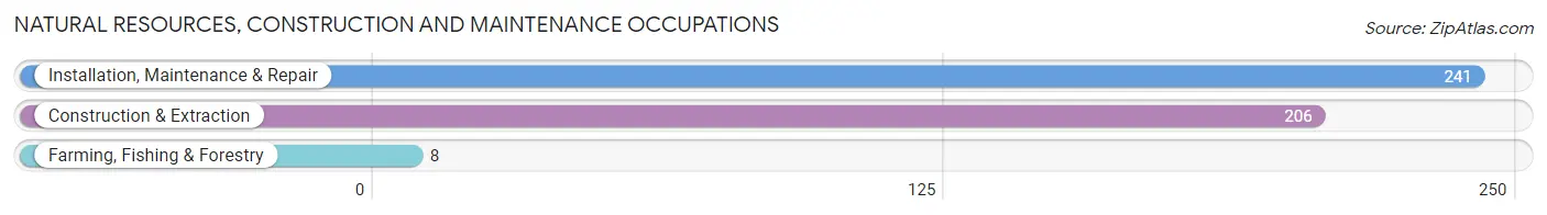 Natural Resources, Construction and Maintenance Occupations in Zip Code 71822