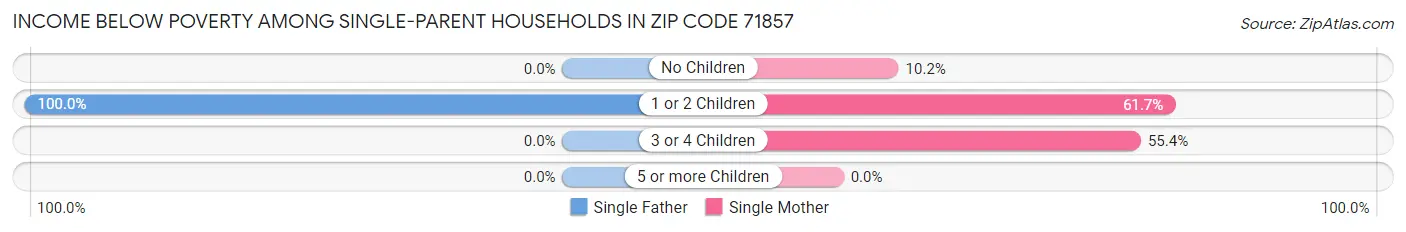 Income Below Poverty Among Single-Parent Households in Zip Code 71857