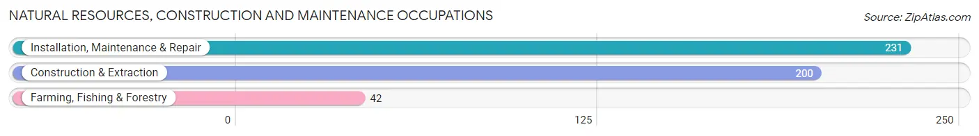 Natural Resources, Construction and Maintenance Occupations in Zip Code 71909