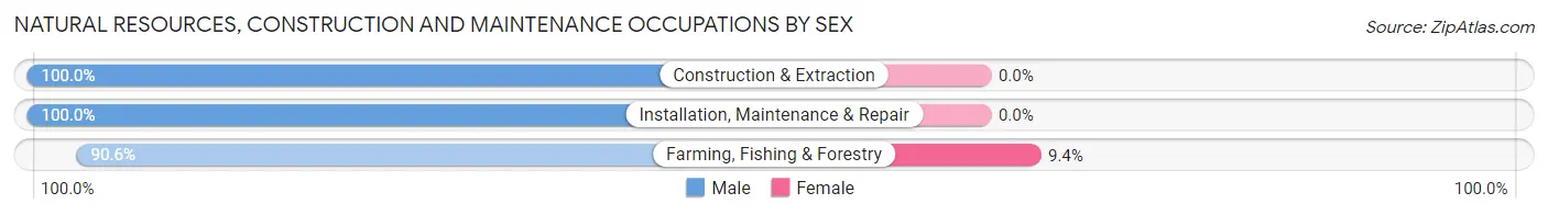 Natural Resources, Construction and Maintenance Occupations by Sex in Zip Code 71937