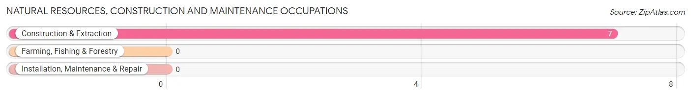 Natural Resources, Construction and Maintenance Occupations in Zip Code 71971