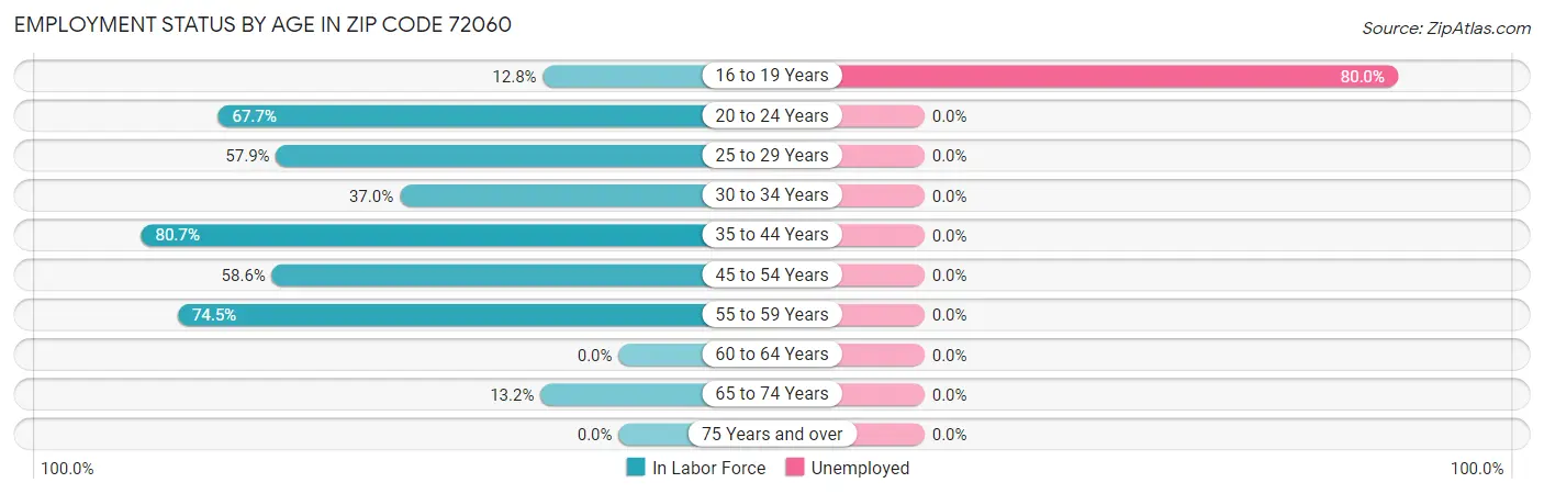 Employment Status by Age in Zip Code 72060