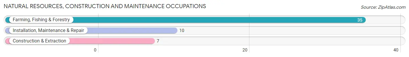 Natural Resources, Construction and Maintenance Occupations in Zip Code 72073