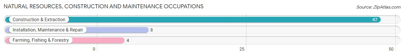 Natural Resources, Construction and Maintenance Occupations in Zip Code 72084