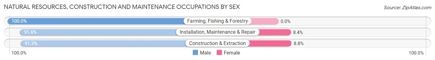 Natural Resources, Construction and Maintenance Occupations by Sex in Zip Code 72209