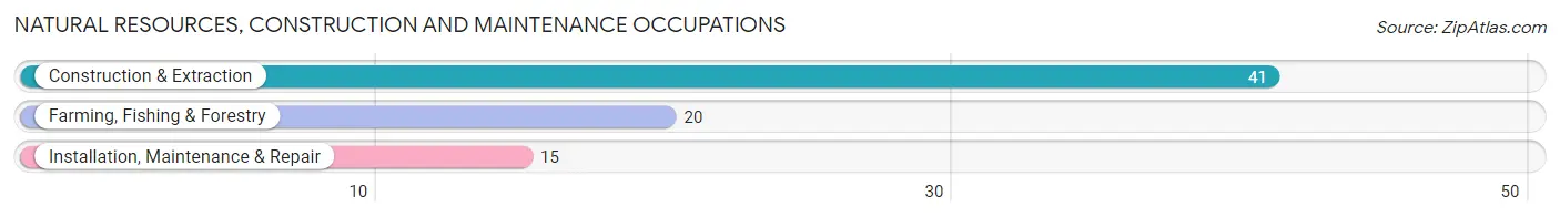 Natural Resources, Construction and Maintenance Occupations in Zip Code 72354