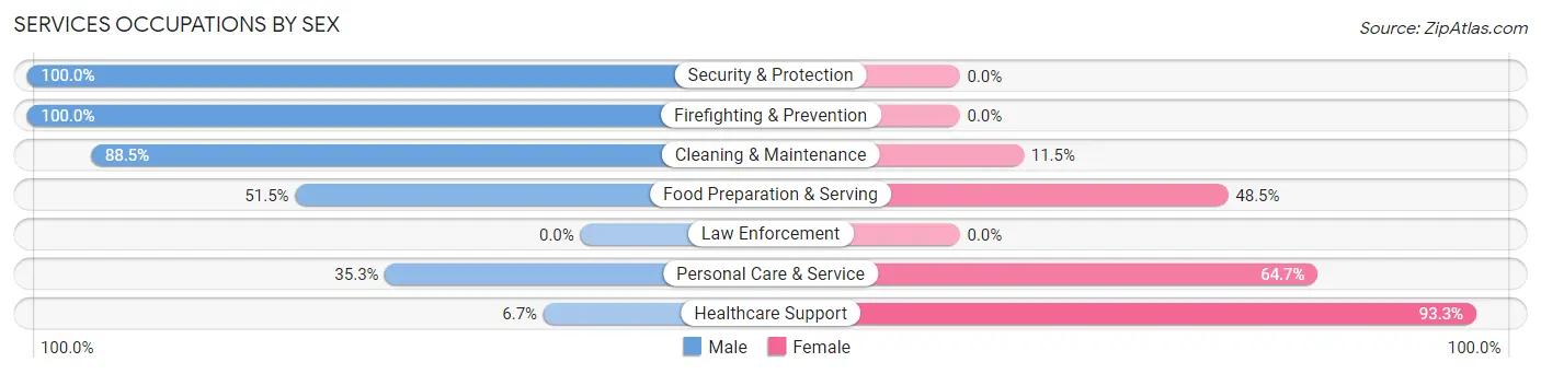 Services Occupations by Sex in Zip Code 72433