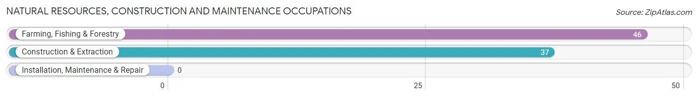 Natural Resources, Construction and Maintenance Occupations in Zip Code 72466