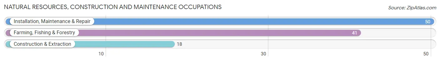 Natural Resources, Construction and Maintenance Occupations in Zip Code 72479