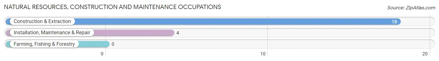 Natural Resources, Construction and Maintenance Occupations in Zip Code 72523