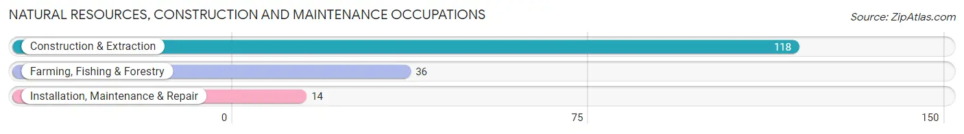 Natural Resources, Construction and Maintenance Occupations in Zip Code 72534