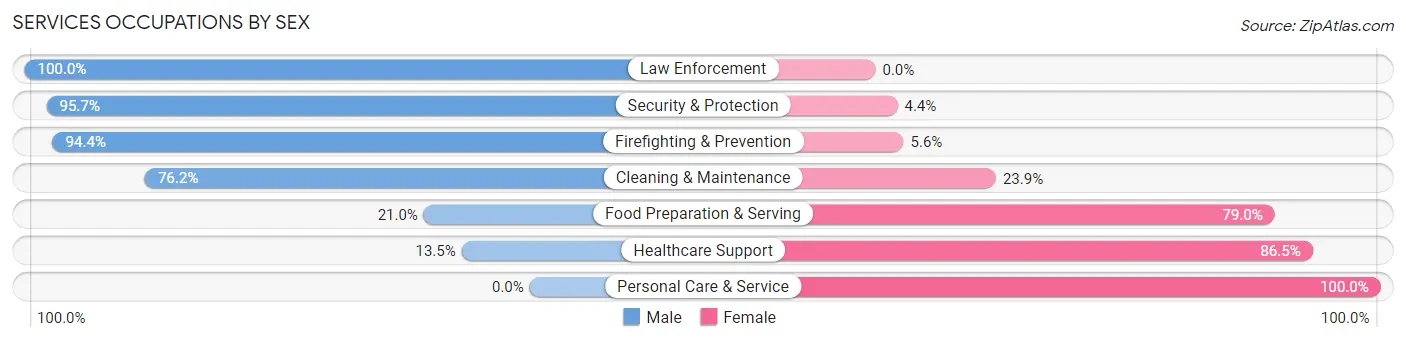 Services Occupations by Sex in Zip Code 72542