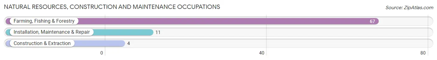 Natural Resources, Construction and Maintenance Occupations in Zip Code 72577