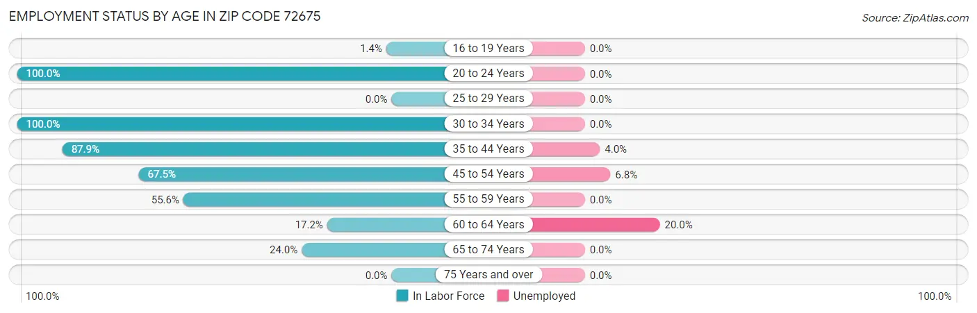 Employment Status by Age in Zip Code 72675