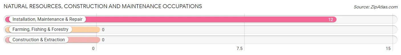 Natural Resources, Construction and Maintenance Occupations in Zip Code 72682