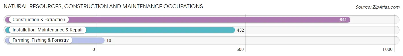 Natural Resources, Construction and Maintenance Occupations in Zip Code 72701