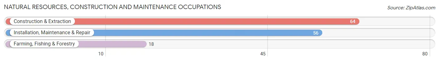 Natural Resources, Construction and Maintenance Occupations in Zip Code 72722