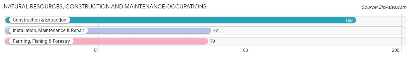 Natural Resources, Construction and Maintenance Occupations in Zip Code 72736